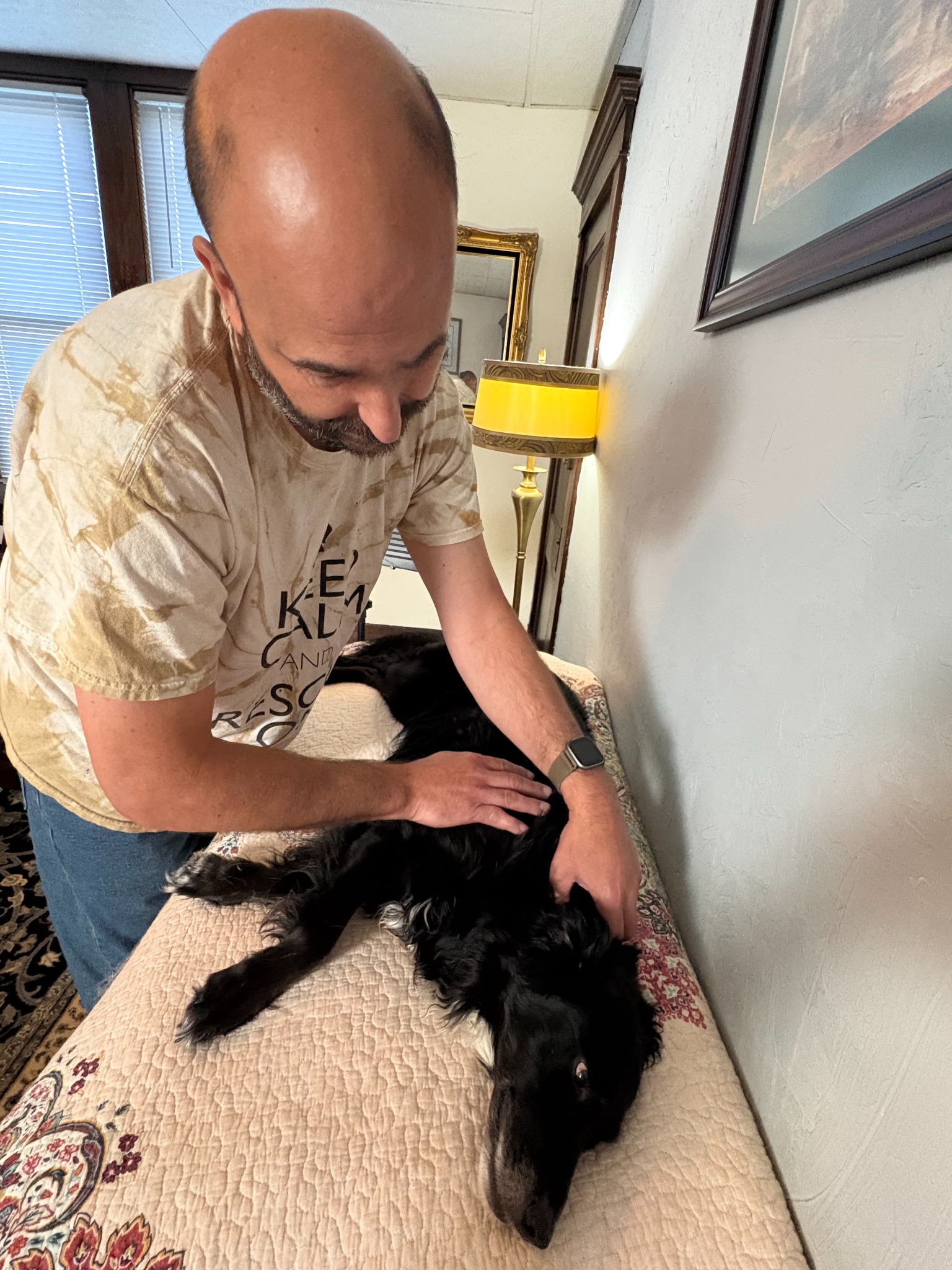 Real canine massage session